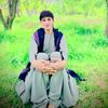zahir.bacha497