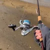 olliemccal10