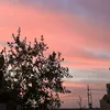 2h_ven