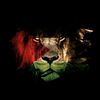 88lion77