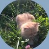 ruba24425