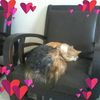 blandine.conde