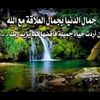 ebaa919