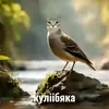hfjfqhchchh