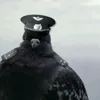 jack_back4