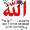 abubakrberahmkurbonovhjk