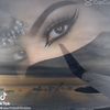 shsr1111jzz