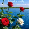 abdellah25250