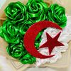chahrazed.boudechiche