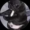 sleepy_segal