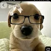 user285252191