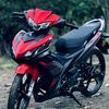 apamau501