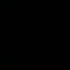 ne_f19