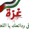 nasem.elbahr