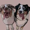 2bossy.aussies