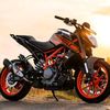 jockey493