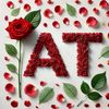 khan.ali2416