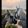 ♔•حً ـمِــــــــد🇦🇪🇴🇲•♔