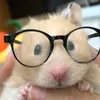 mouse09982