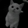 zekr_772