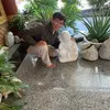 hoa.thien67