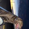 cash_arends20211
