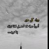 user4810269009811