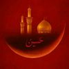 syed.zadi3173