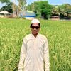 mdkhokonmolla15