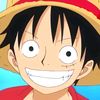 swh.luffy