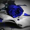 ledy9945
