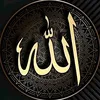 user272493926