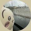usagi_2014