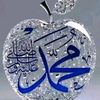 user96285227662448