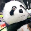 yanyong.tpk