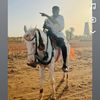 youssouf.ndiay96