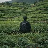ahmed_16_23_