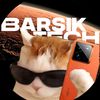 Barsik_Tech)