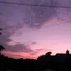 poppy_gardiner1