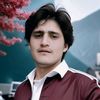 saidwalijajai