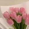tulip._.2008