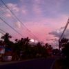 aulia.mifnatul.sa