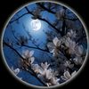 rai.husnain2525