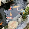 chinh.nguyen4451