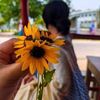 rani.biswas03