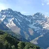 1rojocualquiera