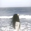 s_afa179