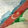 murat.hsnli