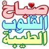 user9603882611171
