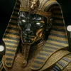 mohamed.elsayed8632